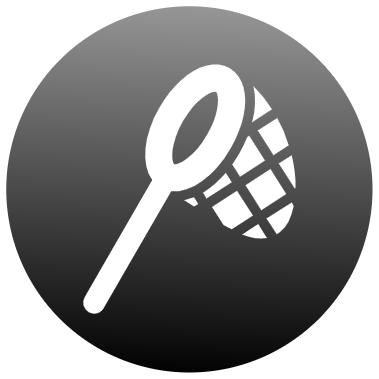 Bug Hunter badge
